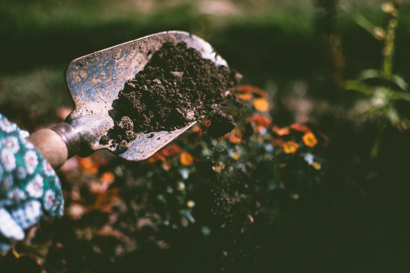 Pila de compost con restos vegetales y hojas secas sobre tierra de huerta